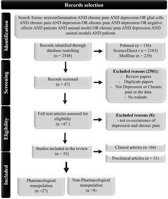 Neuroinflammation, Pain and Depression: An Overview of the Main Findings